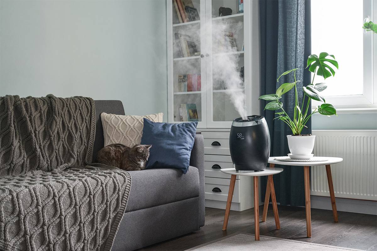Read more about the article Why You Should Buy a Humidifier